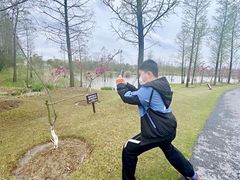 -上海长兴岛郊野公园