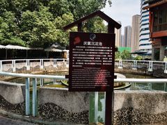 -成都市活水公园