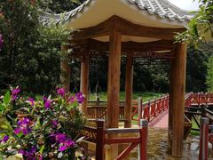 -广州市石门国家森林公园