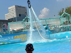 -海合安成都极地海洋公园