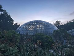 -深圳仙湖植物园