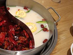 -青瓷火锅料理(西单大悦城店)