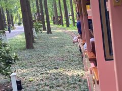 -黄海国家森林公园