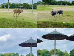 -宁波野生动物园