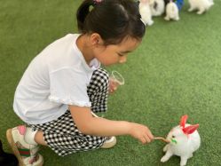 -萌宠亲子动物乐园(槐房万达店)