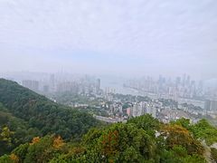 -南山植物园