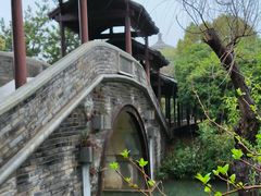 -八大山人梅湖景区