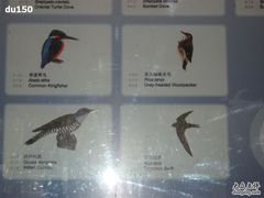 -北京麋鹿生态实验中心