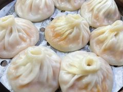 -莱莱小笼·乔艾