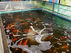 -伟记牛蹄(道滘店)
