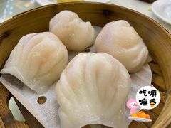 -东豪园林海鲜酒家(南港路辅路店)