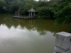 -四海公园(南山区)