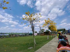 -新地休闲农场