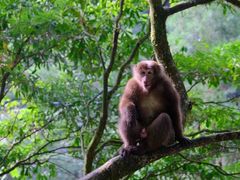 -西岭雪山大飞水景区