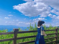 -武陵山森林公园