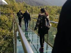 -陶祖圣境风景区