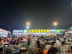 -盐禾堂海南屯昌香草鸭(总店)