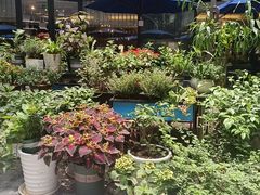 -鹿港小镇(金虹桥国际中心店)