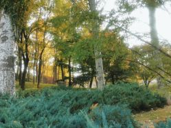 -大望京儿童游乐场