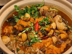 -杨氏青龙虾·羊蝎子(托乐嘉店)