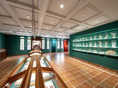 第一展厅历史之舟-上海体育博物馆