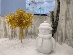 -广州热雪奇迹