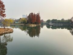 -尚贤河湿地