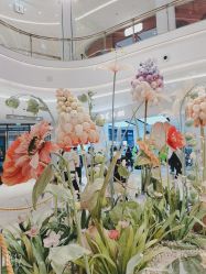 -南京康美美容医院·旗舰店