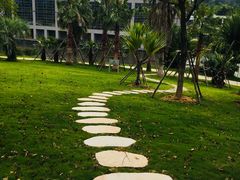 -厦门国家会计学院