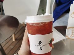 -树夏(金楠天街店)