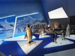 -贝林大翅鲸简餐厅(国家海洋博物馆店)