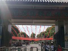 -上海海湾国家森林公园