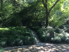 景点-柳浪闻莺公园