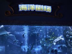 -南昌海洋公园