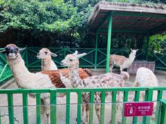 -杭州野生动物世界