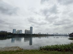 -南宁南湖公园