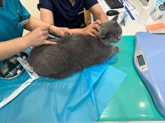 -美迦爱-牙专科·兔科·骨科诊疗中心(北苑店)