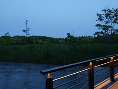 -昆山城市生态森林公园