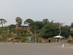 -罗红摄影艺术馆