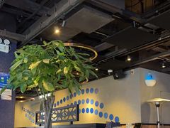 -bluefrog蓝蛙(水游城店)