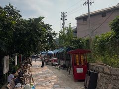 -大岭沟猕猴桃谷风景区