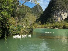 -靖西鹅泉风景区