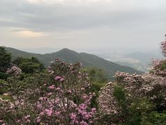 -梧桐山风景名胜区