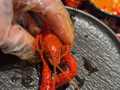 -牛New寿喜烧(中山公园龙之梦店)