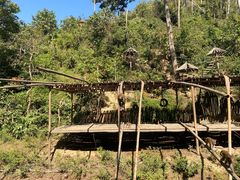 -西双版纳原始森林公园
