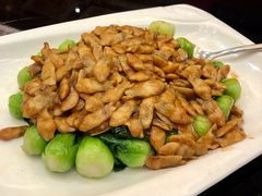 红烧蛏子肉-梅龙镇酒家(南京西路总店)