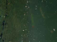 -青年湖公园水上世界