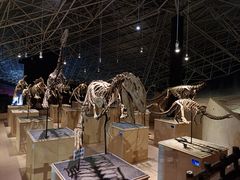 -世界恐龙谷景区