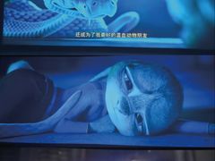 -奥斯卡升龙国际影城(RealD Cinema)