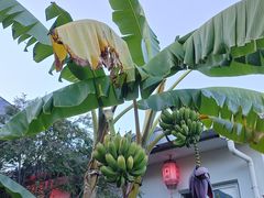 -瑞丰园庭院餐厅·白族传统家常菜